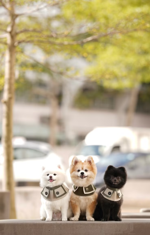 LAGOM 防水巾系列