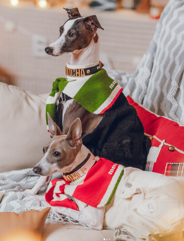 Christmas Shawl Collection