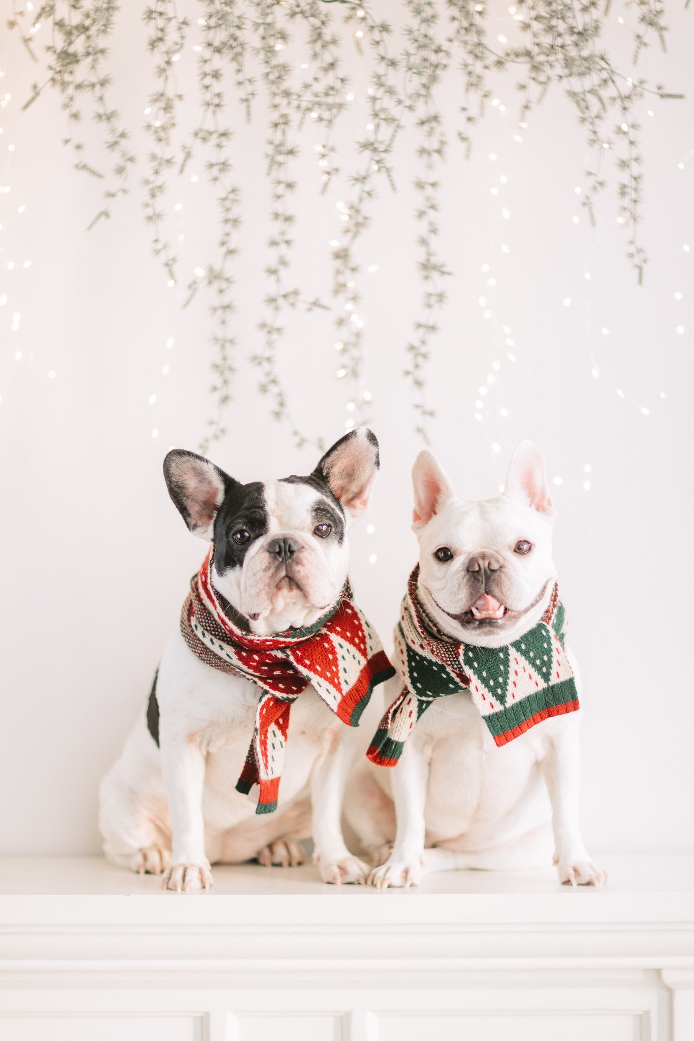 Christmas Scarf Collection