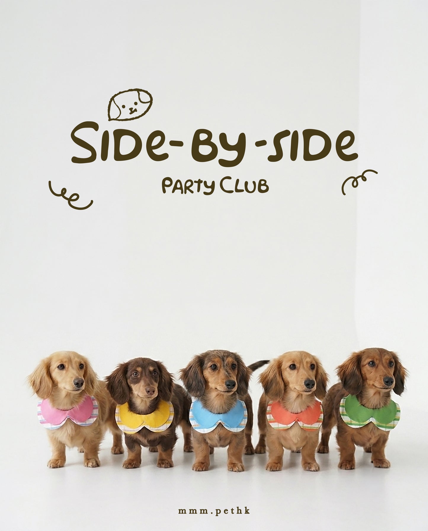 Party Club Collar