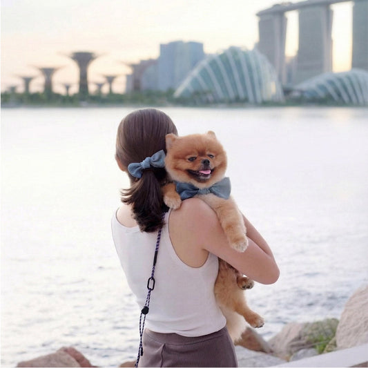 About Us - MMM.PETHK story