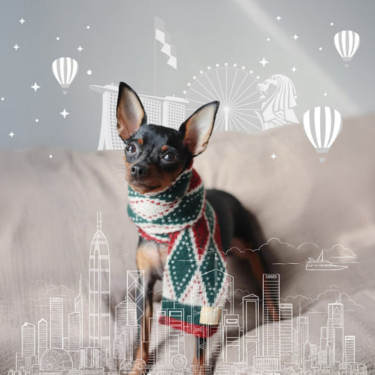 MMM.PETHK Modern Pet Essentials from Hong Kong