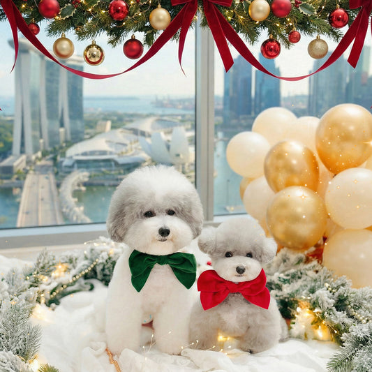 Festive Pet Accessories for Singapore: MMM.PET’s Holiday Picks