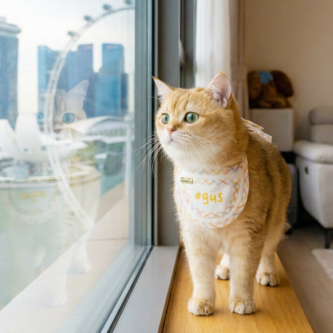 Singapore’s Most-Loved Pet Accessories Made by MMM.PET