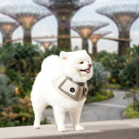 Why Singapore Pets Love MMM.PET’s Waterproof Bandana Collection