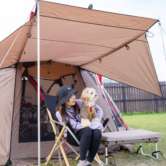 How MMM.PET Accessories Enhance Pet Comfort & Lifestyle in Singapore