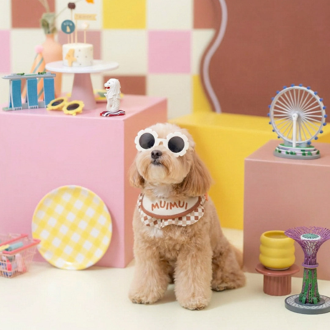 Where Singapore Pet Owners Shop: MMM.PET’s Online Buying Guide