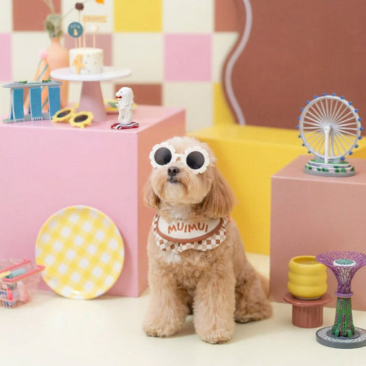 Where Singapore Pet Owners Shop: MMM.PET’s Online Buying Guide