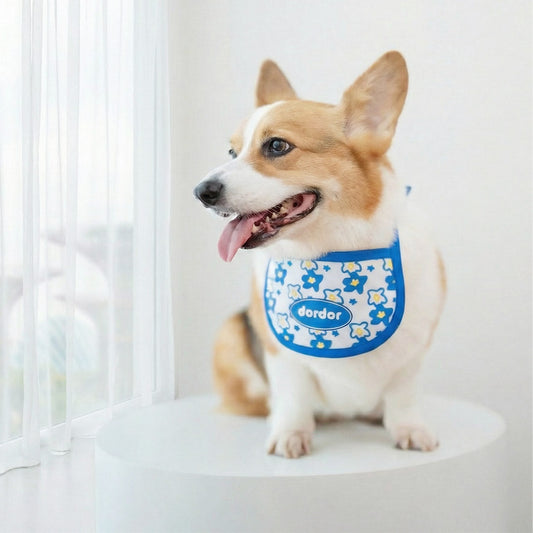 MMM.PET’s Anti-Allergy Material Guide for Singapore Pets