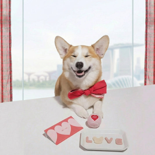 Singapore Pet Owners: Choose MMM.PET Materials That Protect Skin