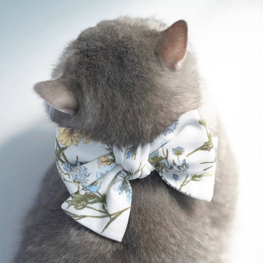 Why Young Singapore Pet Owners Love Stylish Gear from MMM.PET