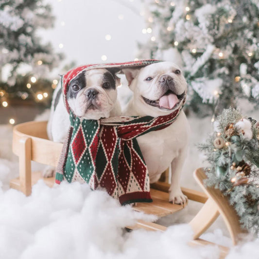 Why Multi-Functional Accessories Matter for Singapore Pets