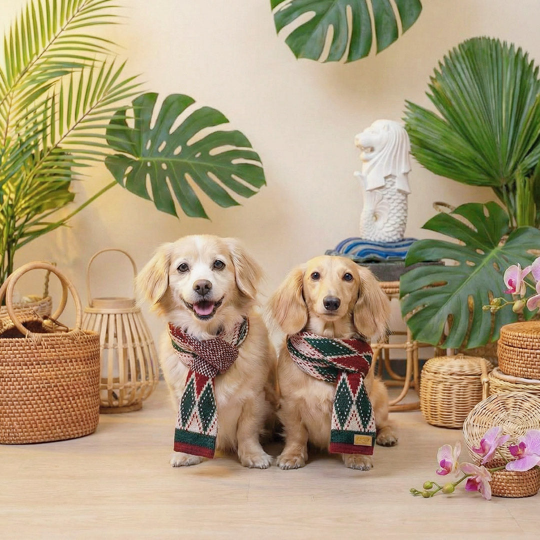 How Tech is Shaping Singapore's Pet Accessories Market