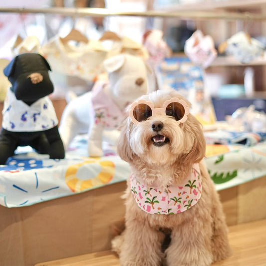 Digital Pet Fashion: MMM.PET's View on Singapore's Tech Trends