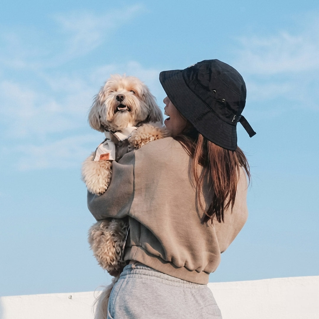 Why Singapore Pet Owners Are Choosing Eco Accessories