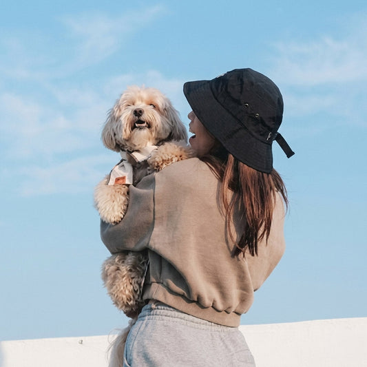 Why Singapore Pet Owners Are Choosing Eco Accessories