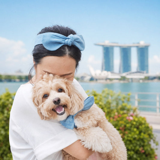 How Singapore Owners Match Their Pets with MMM.PET Fashion