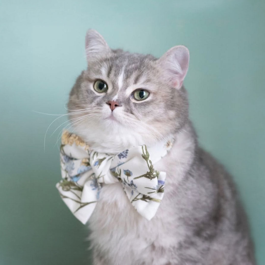 Why Singapore Pet Owners Are Choosing High-End Pet Accessories in 2026