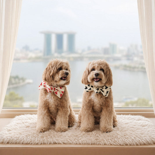 The Rising Demand for Luxury Pet Accessories Among Singapore Pet Parents