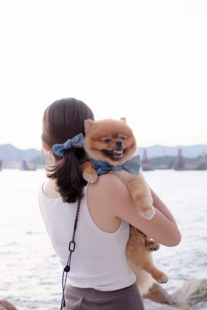 牛仔蝴蝶系列 - 親子裝