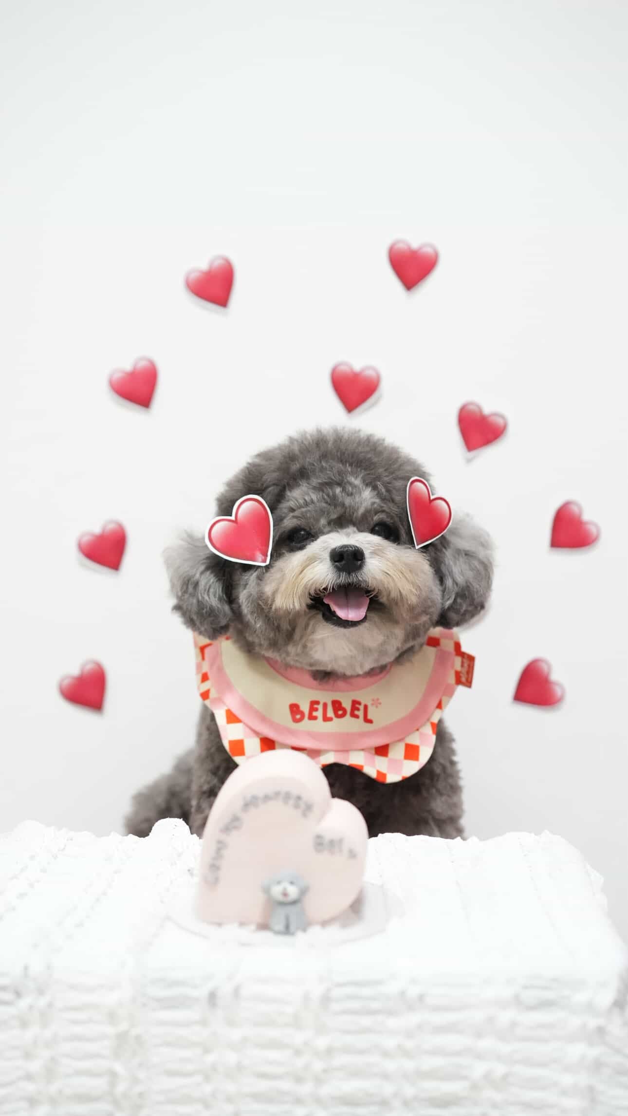 Birthday Pet Bib