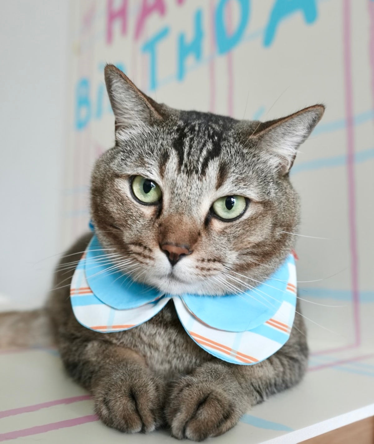 Party Club Bandana