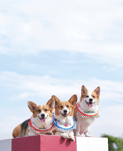 BIRTHDAY BIB 生日巾系列