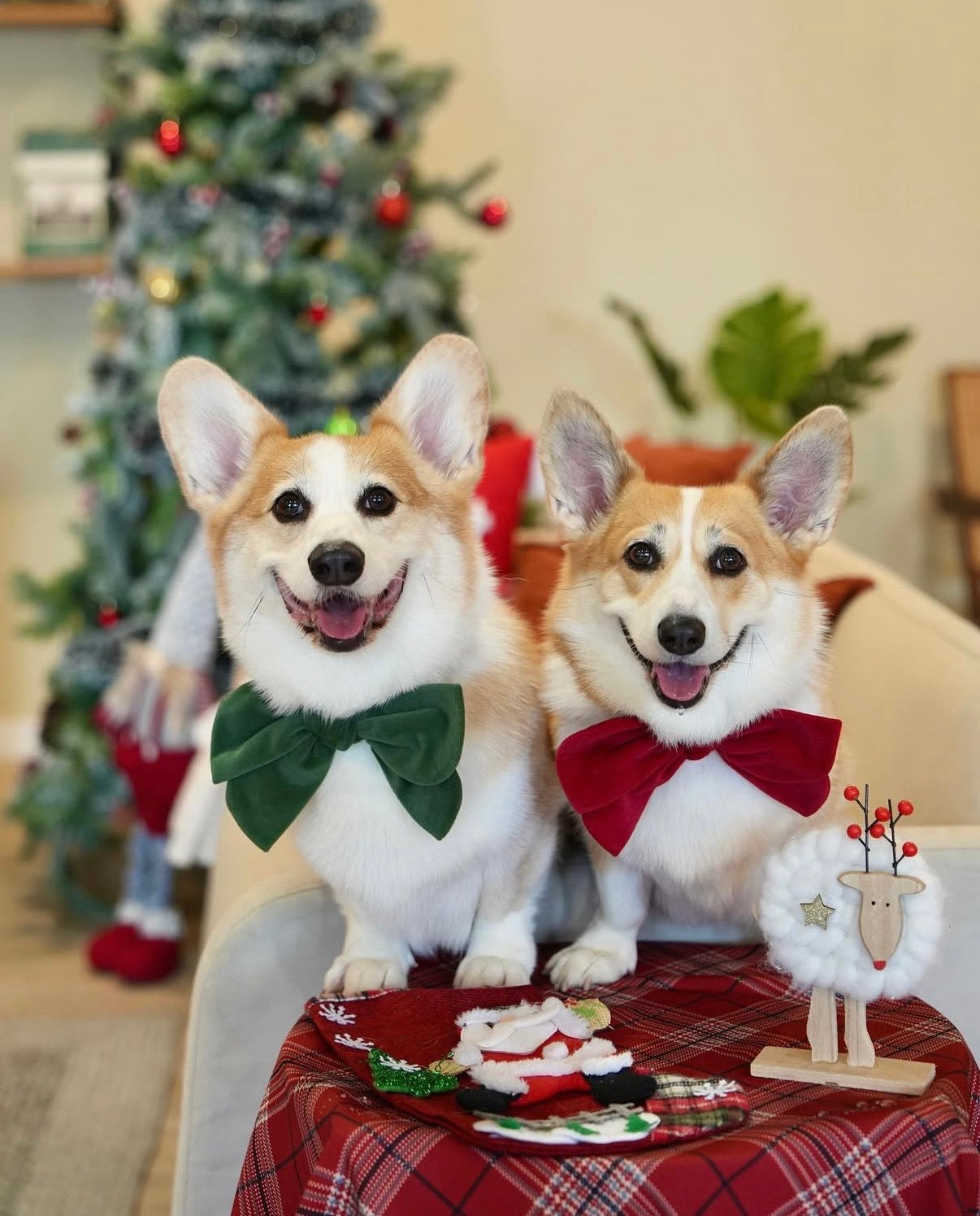 Christmas Velvet Bow Collection