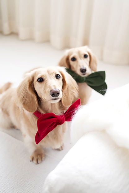 Christmas Velvet Bow Collection