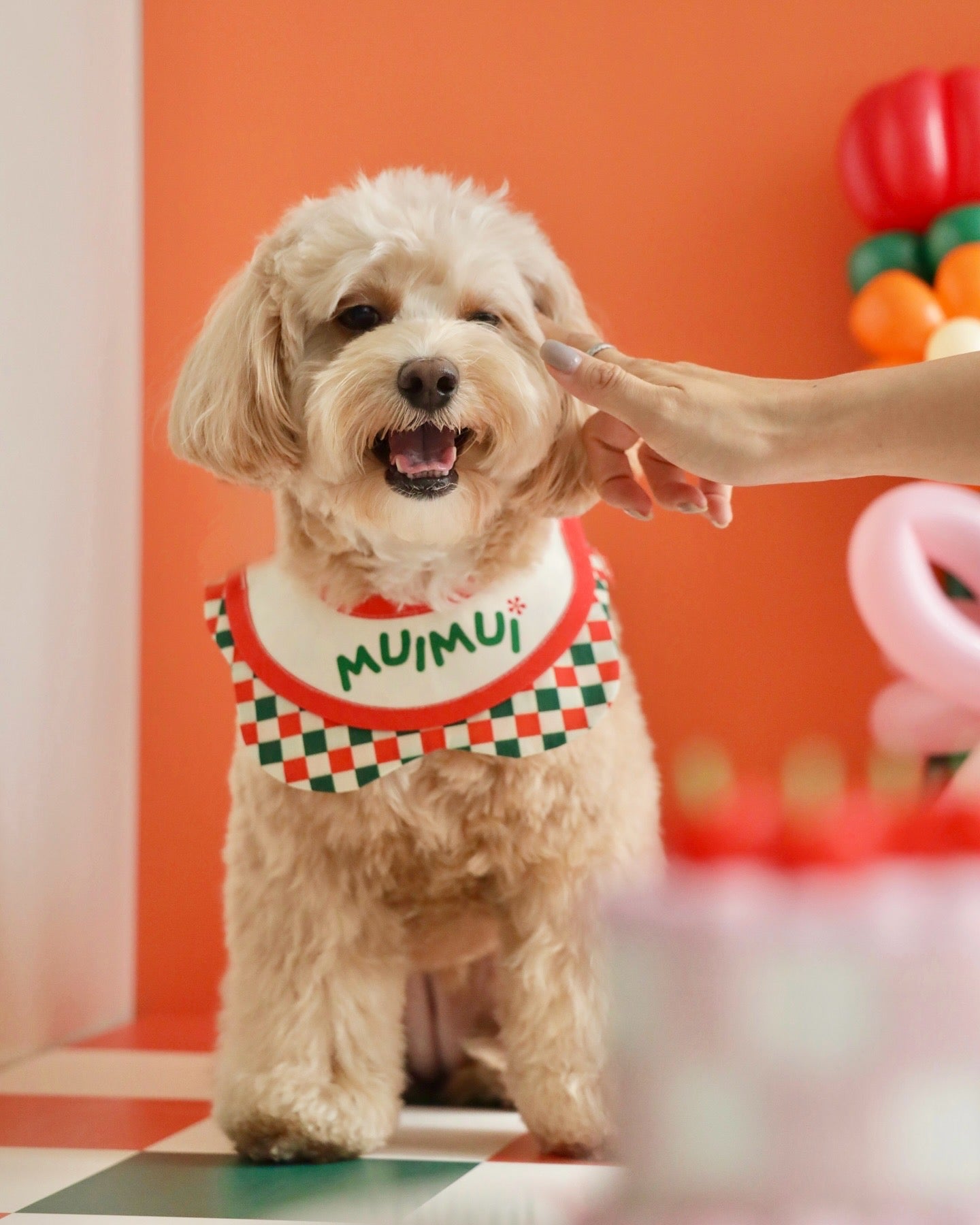 BIRTHDAY BIB 生日巾系列