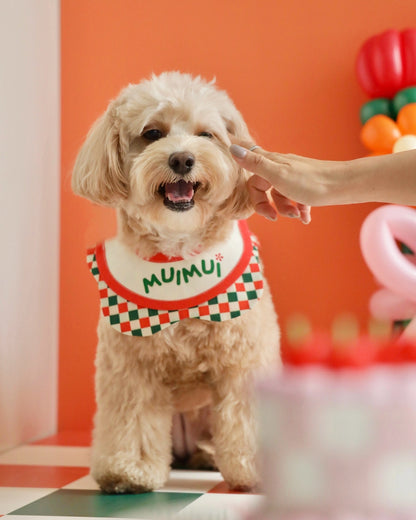 BIRTHDAY BIB 生日巾系列