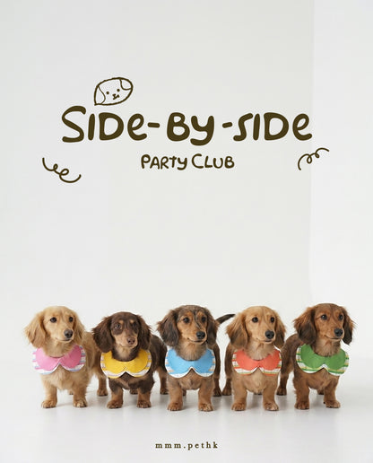 Party Club Collar