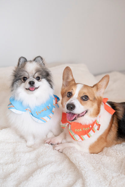 Party Club Bandana